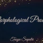Morphological Processes Final Exam