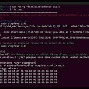 C Programming Dynamic Allocation Bugs Si To AI