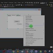 Rad Studio Delphi 016 PageControl 001 New Page