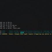 Resolving Python Software Packages Without Security Vulnerabilities