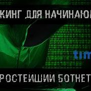 7 Хакинг для начинающих Простейший ботнет