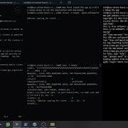 Debugging Applications That Run As VM By Using GDB