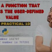 Write A Function That Reverses The User Defined Value In Python BSCIT Python Practical No 1D