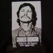 Charles Bronson Youth Attack LP