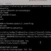 How To Print Environment Variables In Linux Shell Terminal