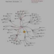 Effective Network Management Via Dynamic Network Anomaly Visualization