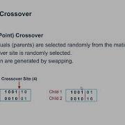 Genetic Algorithms GA Crossover And Mutation