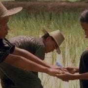 Killing Fields 1