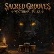 Ritual Jazz 4 Hours Tribal Percussion Dark Rhodes Flow State Experience