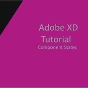 Best Adobe XD Video Toggle Button And Hover Effect In Adobe XD Component States