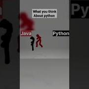 What You Think About Python Python Vs Java Trending Coding Python