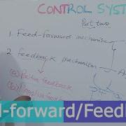 Feed Forward Feedback Mechanisms