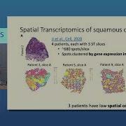 Ben Raphael Alignment Integration And Modeling Of Spatial Transcriptomics Data CGSI 2022