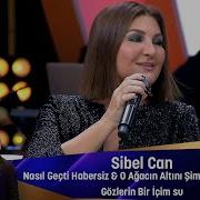 Sibel Can NASIL GEÇTİ HABERSIZ O AĞACIN ALTINI ŞİMDİ ANIYORMUSUN GÖZLERİN BİR İÇİM SU
