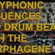 Цикл с Make Noise Morphagene