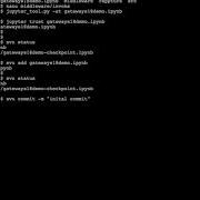 Svn Commit