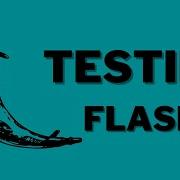 Getting Started With Testing In Flask