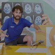 Behind The Science Of Our Harmonograph Scitech WA