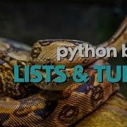 Python Basics Lists Vs Tuples