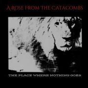 A Rose From The Catacombs The Place Where Nothing Goes