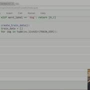 Intro And Preprocessing Using Convolutional Neural Network To Identify Dogs Vs Cats P 1