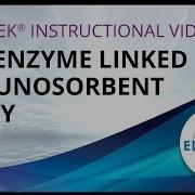 The Enzyme Linked Immunosorbent Assay ELISA