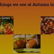 All About Autumn Fall What Do We See In Autumn Time
