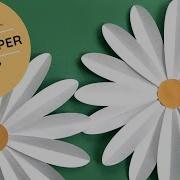 Large Paper Daisy