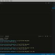 Debug Python Inside Docker Using Debugpy And VSCode