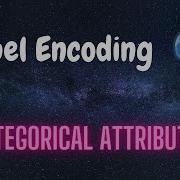 How To Perform Label Encoding For Categorical Attributes Python