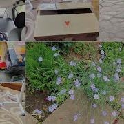 12 июня 2026 г Краматорск ВЕЧЕР Отдаленно и В этот день все Отвезли кумовьям Подарок Андрею Буся