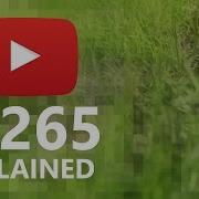 H 265 HEVC Vs H 264 AVC Compression Explained