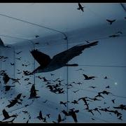 22 000 Animated Flocking Agents In UE4