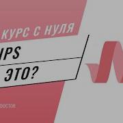 Что такое чипсы и с чем их едят Подробный видео курс по Materialize CSS 24