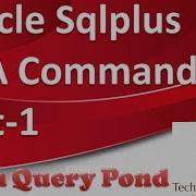 Oracle Tutorial Oracle PL SQL Sqlplus DBA Commands Part 1