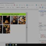 Responsive Image Gallery Using Grid HTML5 And CSS3 Image Gallery Web Development Videos
