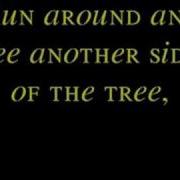 Sonata Arctica The Cage Lyrics