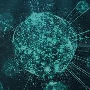 Trapcode Form Experiment