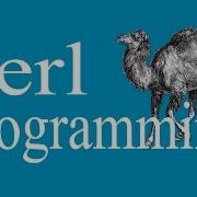 Perl Programming Working With Arrays And Lists Intro