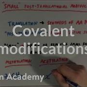 Covalent Modifications To Enzymes Biomolecules MCAT Khan Academy