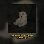 Şebnem Ferah Sigara Speed Up