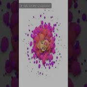 Creative Codepen CSS Animation CSS Particles
