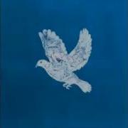 Coldplay True Love