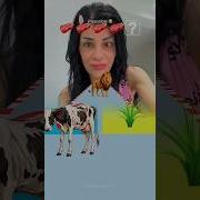 Tutorialfilter