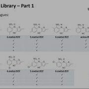 Using Polymorphophores To Investigate Structure Polymorphism Relationships For Small Organic Mol