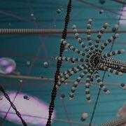 Immerse Yourself In The Cytoskeleton