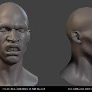 Skull And Bones Blendshapes Morphs
