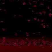 ROSE PETAL Falling Rose Background 3DMAX