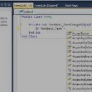Visual Basic 2010 2008 Password Protection Using Textbox