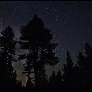 USE HEADPHONES McCafferty Trees III 8D Audio